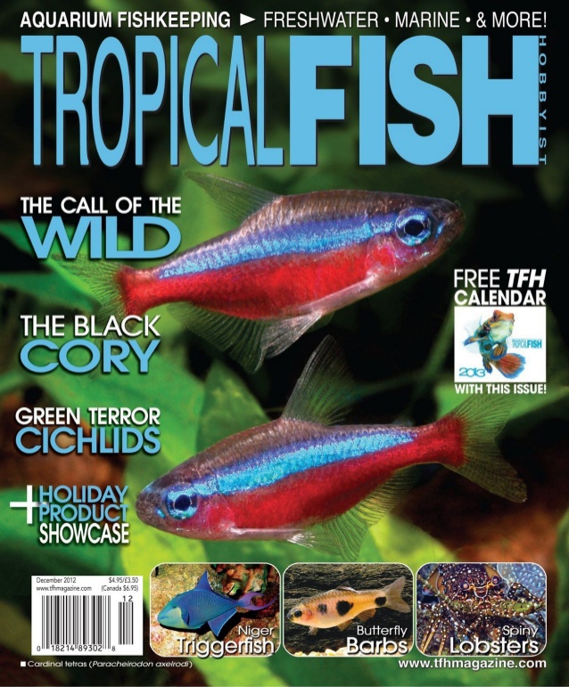 tropical fish hobbyist magazine pdf
